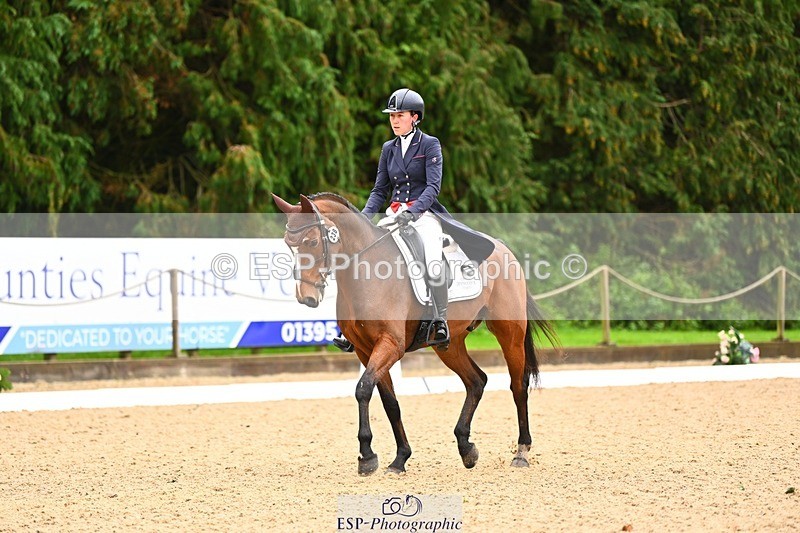 231021-114110-14788 - 238-LEXINGTON.III-Georgina.Wood-DR