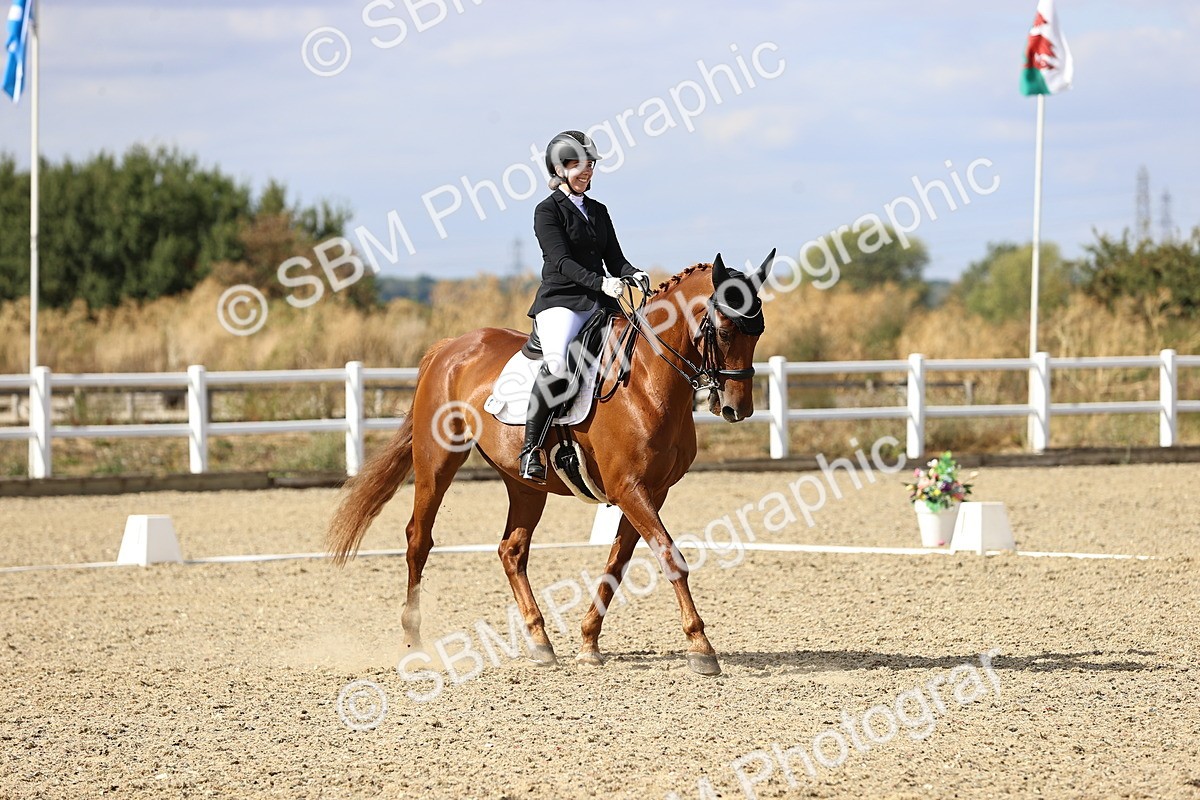 SBM_015240 - Class 5 - E5 Bronze 14.42.15.54