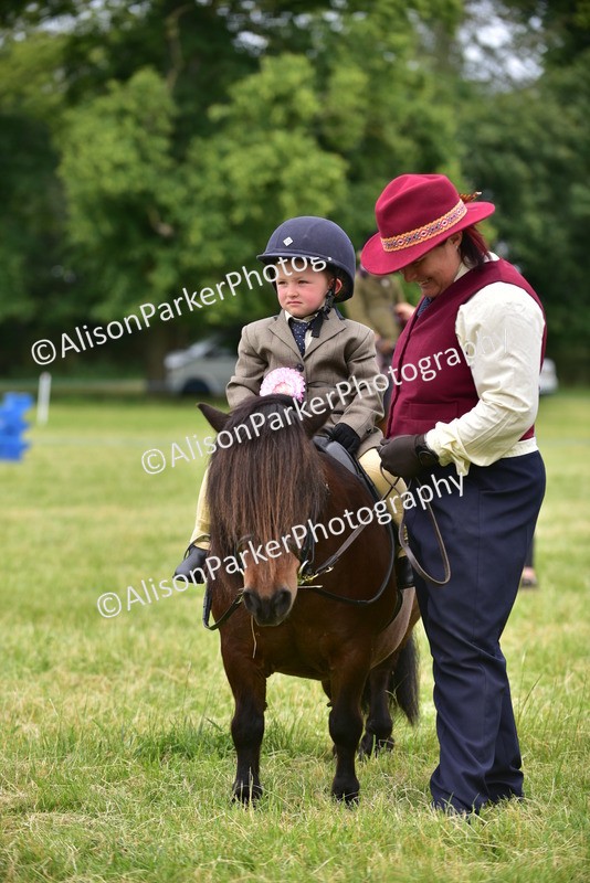 20260614-4246 - Class 17 - Best Mane and Tail