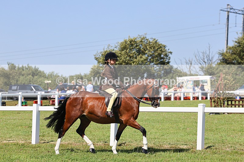 IMG_1995 - Class 34: Show Hunter Pony 153cm and under