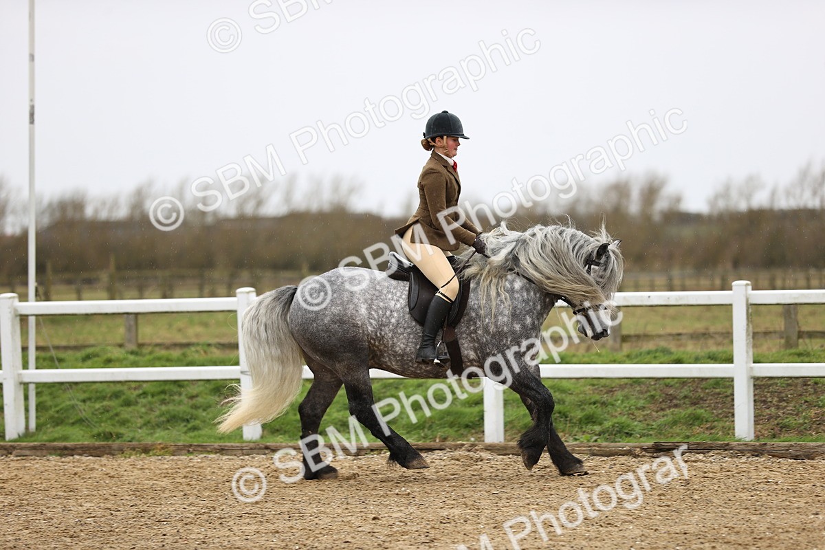 SBM_007530 - Class 31-32 - M&M Confined Novice Small-Large