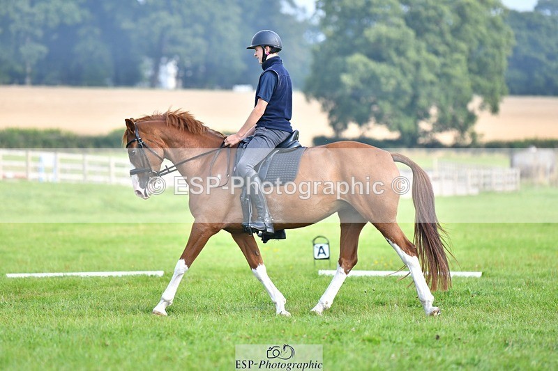230817-093611-02606 - Abbie's 1st Group - Dressage
