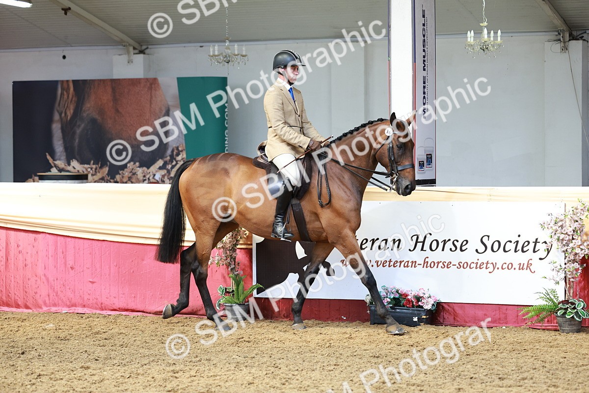 SBM_14877 - Class 108 - Ridden Retired Racehorse