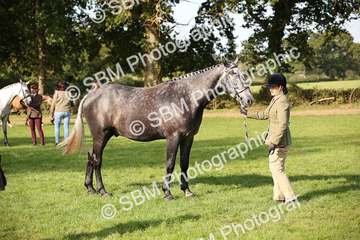 SBM_60091 - S53 - Hunter In Hand