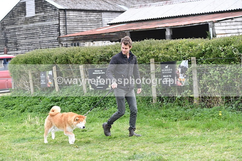 WJ5_9971 - Class 5 Best Veteran / 7 years & over