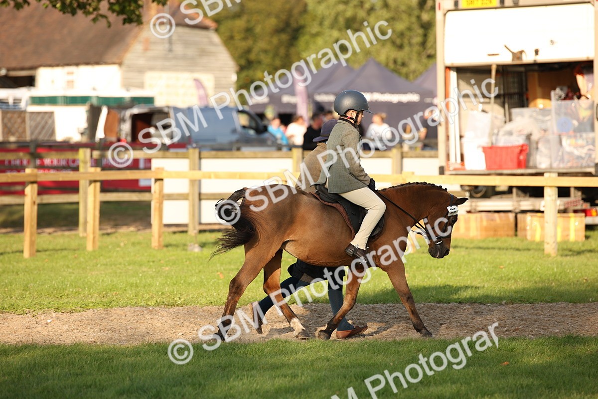 SBM_54395 - S27 - Mature Veteran - Ridden