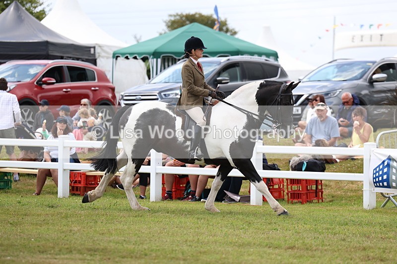 3E7A1912 - Class 10: Open Cob