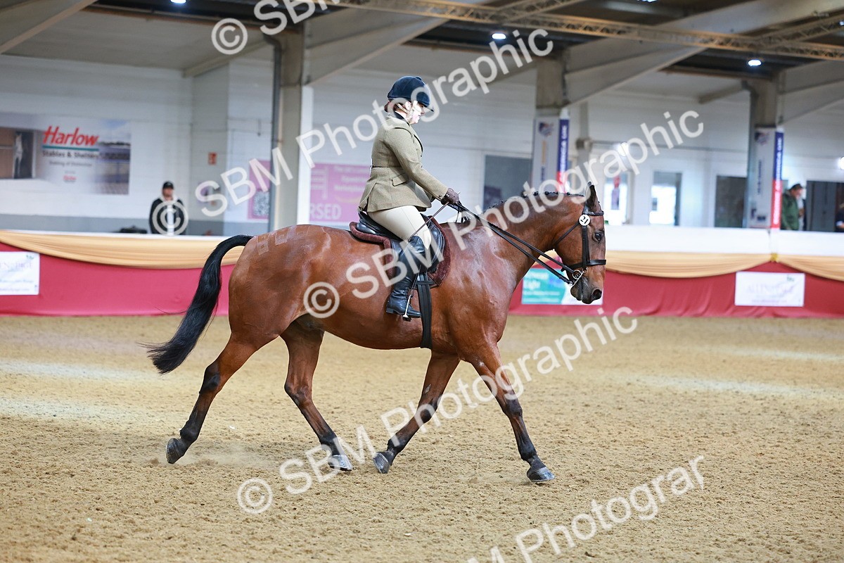 SBM_09506 - Class 102 - HOYS Veteran Qualifier - Ridden Veteran
