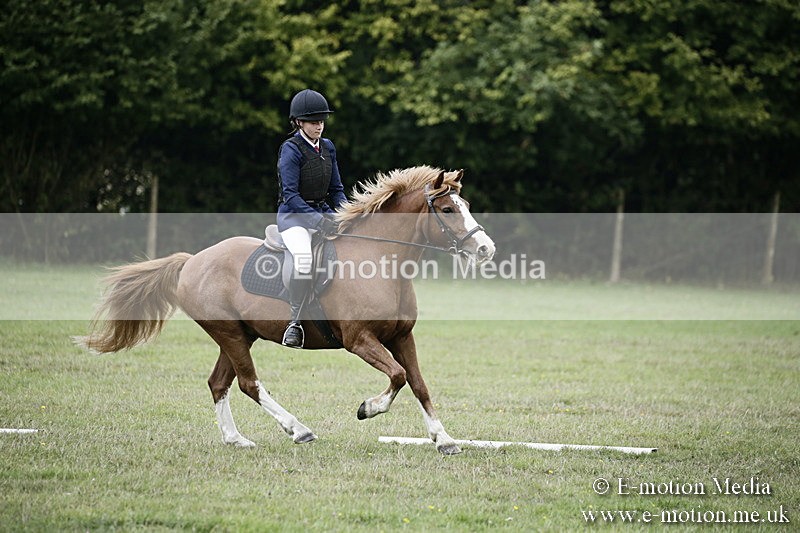 BVR090918 248 - BVRC Dressage and Show Jumping 09/09/18