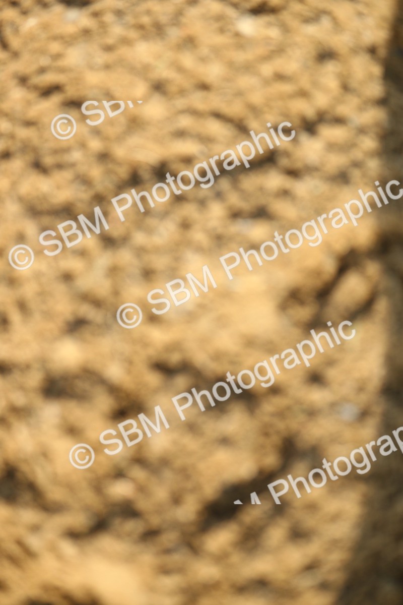 SBM_001622 - Class 6 - National 1.30m 1.40m