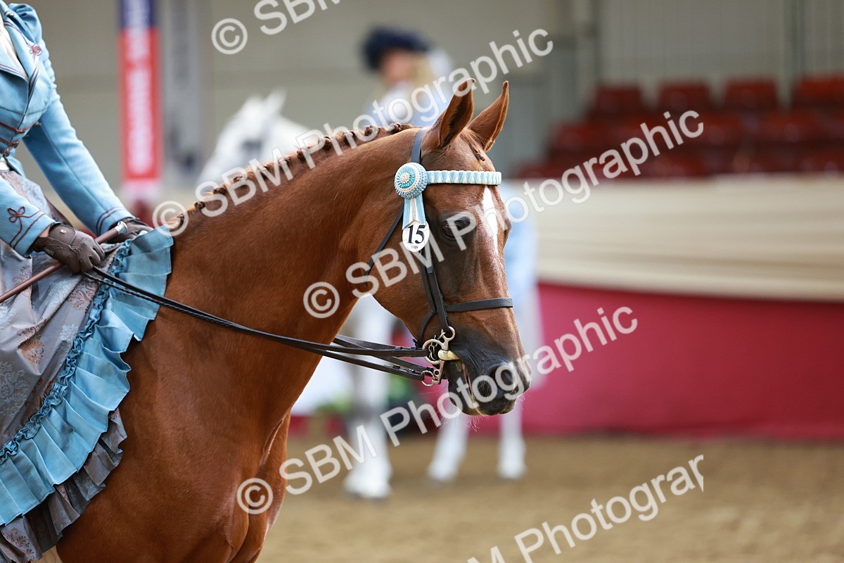 SBM_13746 - Class 106 - Ridden Costume -Astride Adult (15-19)