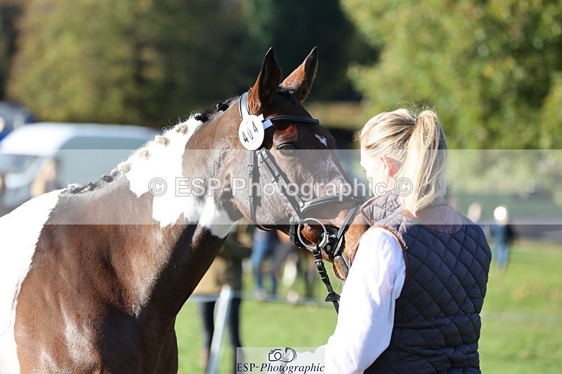 241027-093729-15398 - 404-Tamzin.Ferguson-SANTORINI