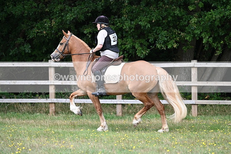 WJ7_0308 - XC Time 10:05 to 12:27