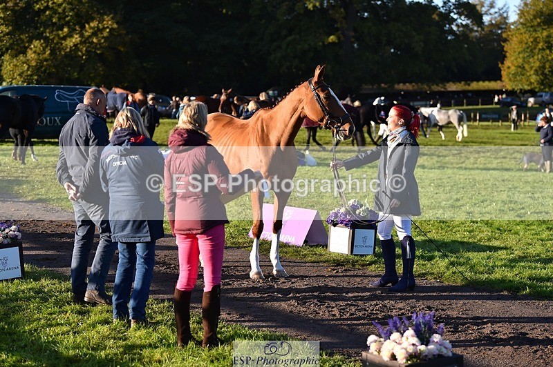 231022-091304-21624 - 613-CAVS.GIRL-Anna.Webster-TrotUp+SJ