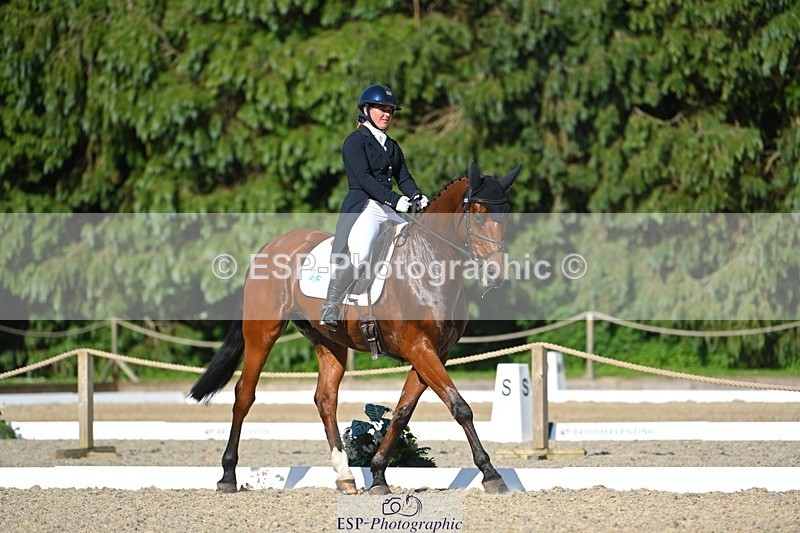 230526-173258-07635 - 264-BALLADEER_JUST_FOR_KICKS-Ellie_Healy-WEDTrotUp+DR