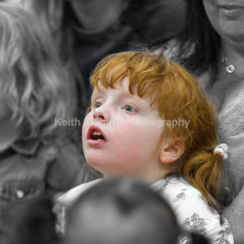 4KJS7058 - Portraiture