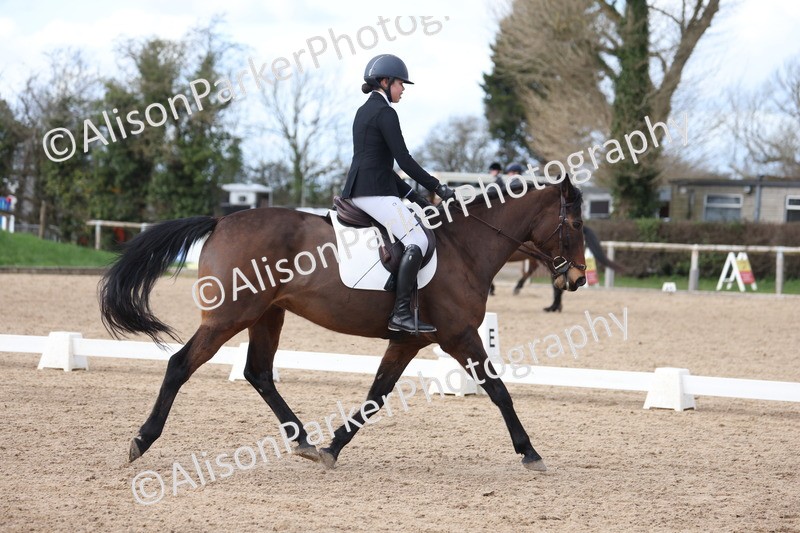 20260228-0717 - Class 5 - Novice 2