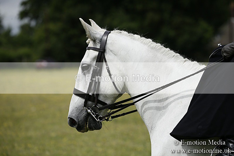 BVR160717-1619 - Side Saddle Classes 16/07/17