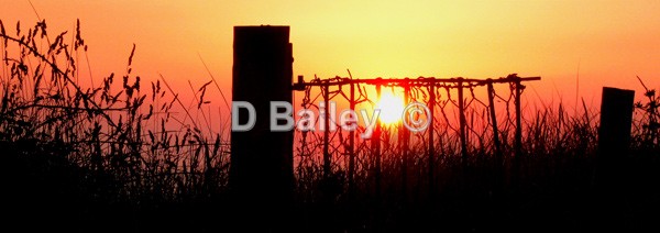 evening sunset Landscape
