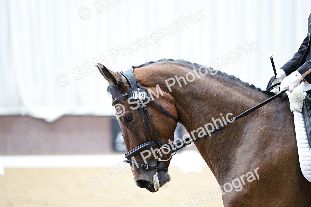 SBM_001292 - Class 5 - Novice 6