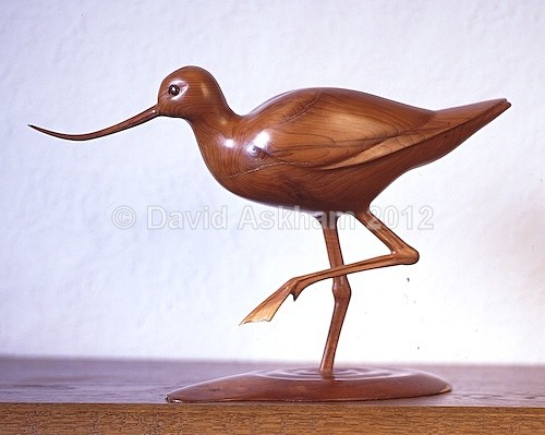 Avocet - Crafts