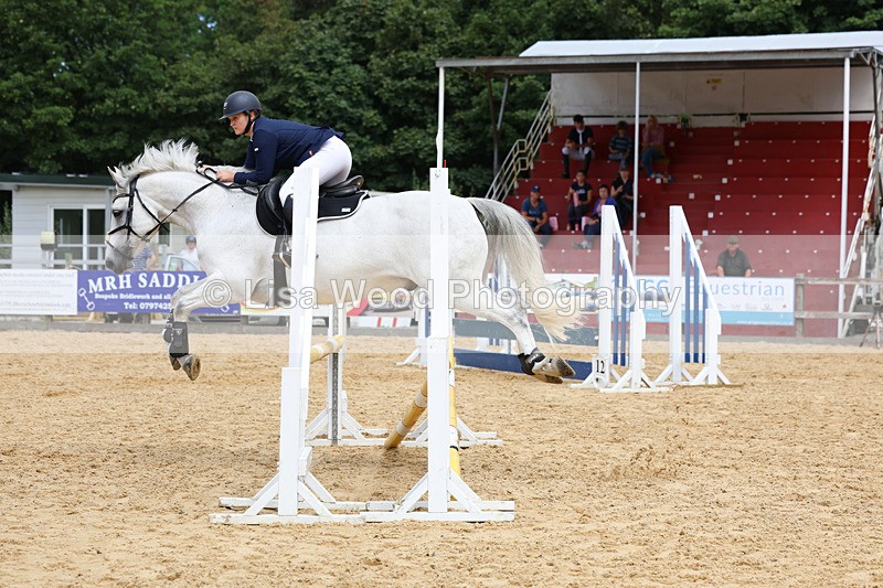 3E7A0104 - Class 9: Senior British Novice/90cm open