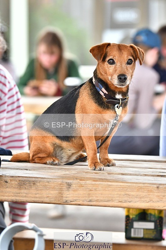 230817-154015-03110 - Presentations