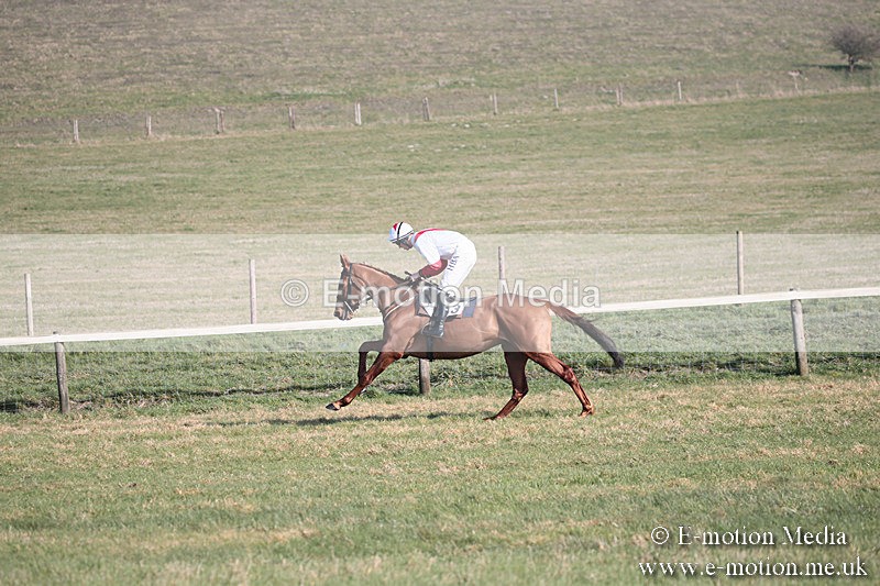 PtP 230219 181 - Vine & Craven Point-To-Point - Barbury 23/02/19