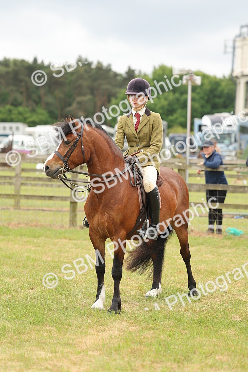 SBM_07224 - Class 76-77 - Ridden M&M Welsh Ponies