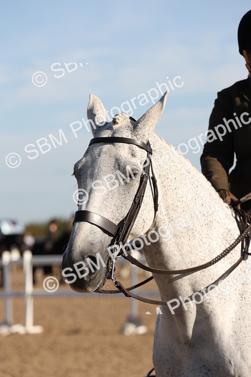 SBM_10859 - Class 202 - Best Turned Out - Ridden