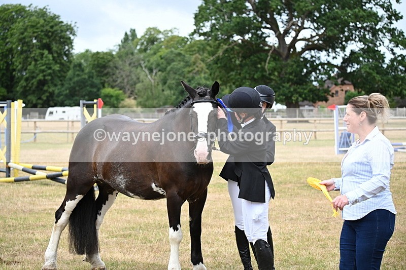 WJ6_4462 - Class 10 Coloured In-hand