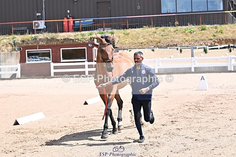 250716-123900-00090 - Trot Up 12.30 to 1.30