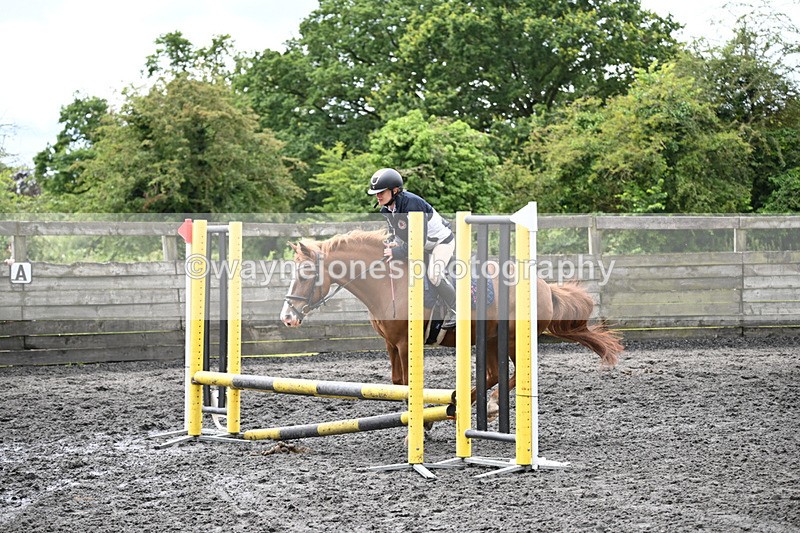 WJ6_0160 - Class 13 Novice 60cm