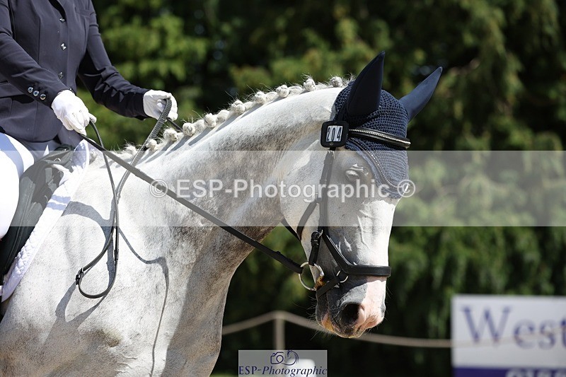 230811-134844-01884 - Cls 1 Prelim Bronze 13.30 to 14.50 break