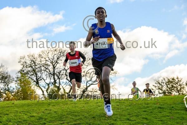 NatRel25-914181 - Young Male Set One