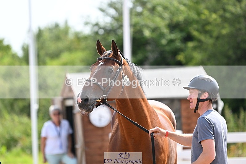 240717A-152933-02845 - Trot Up 3pm to 4pm