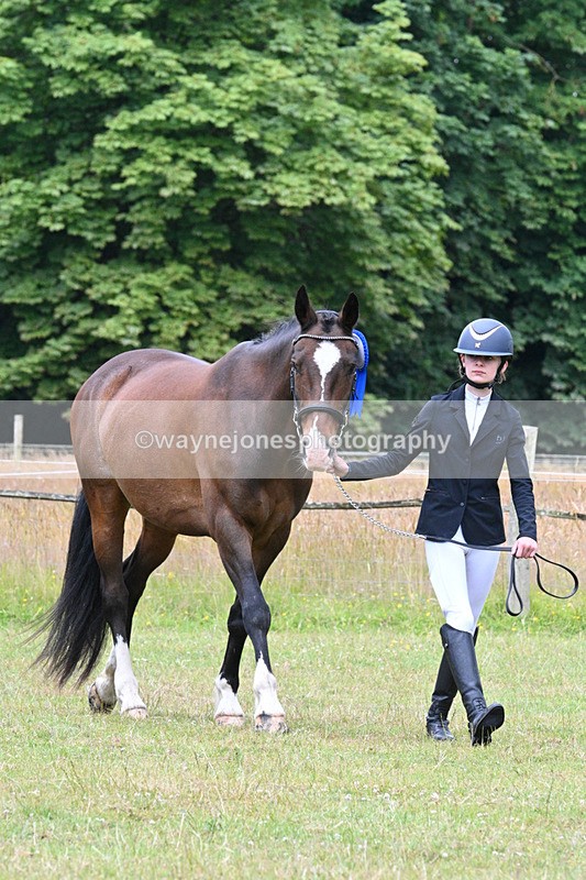 WJ7_7251 - Champs