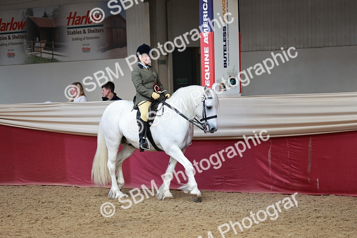 SBM_08624 - Regional Ridden Champ