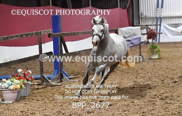 BPP_2677 - LOOSE JUMPING / SPSS