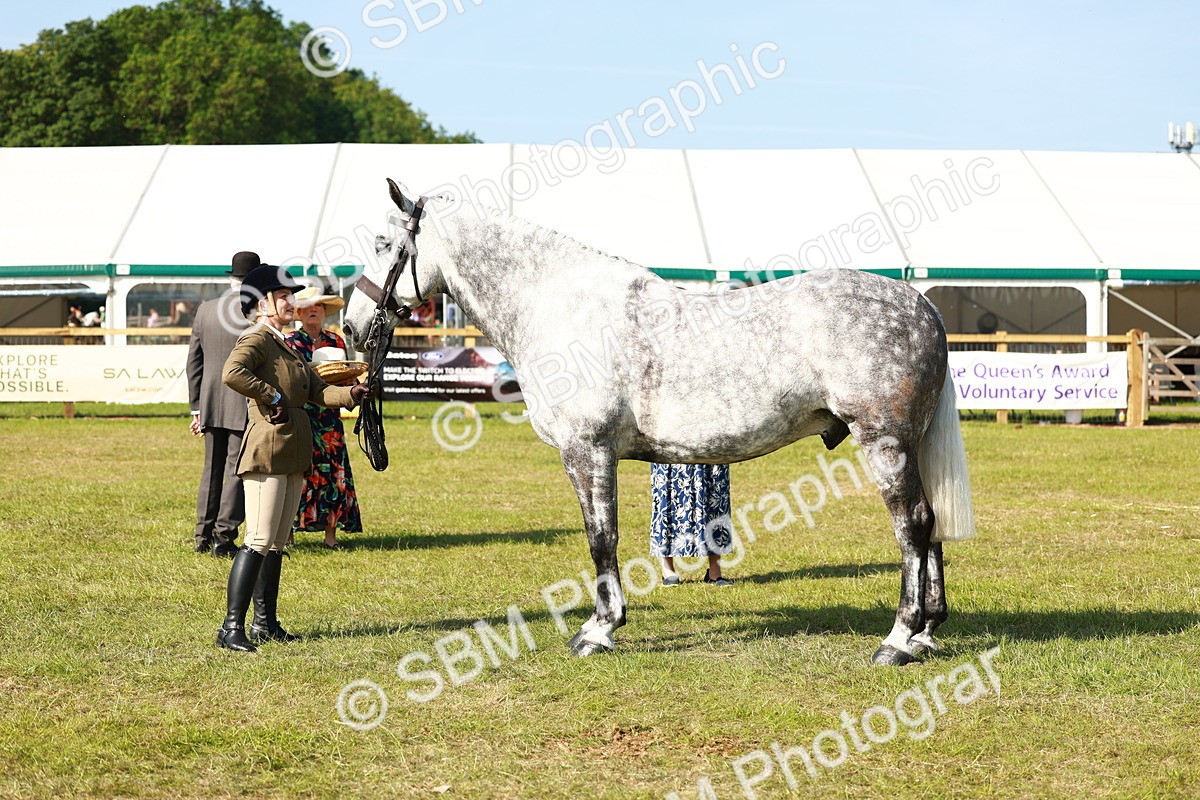 SBM_11811 - Class 66-69 - RIHS Ridden Hunters Inc Small Hunter