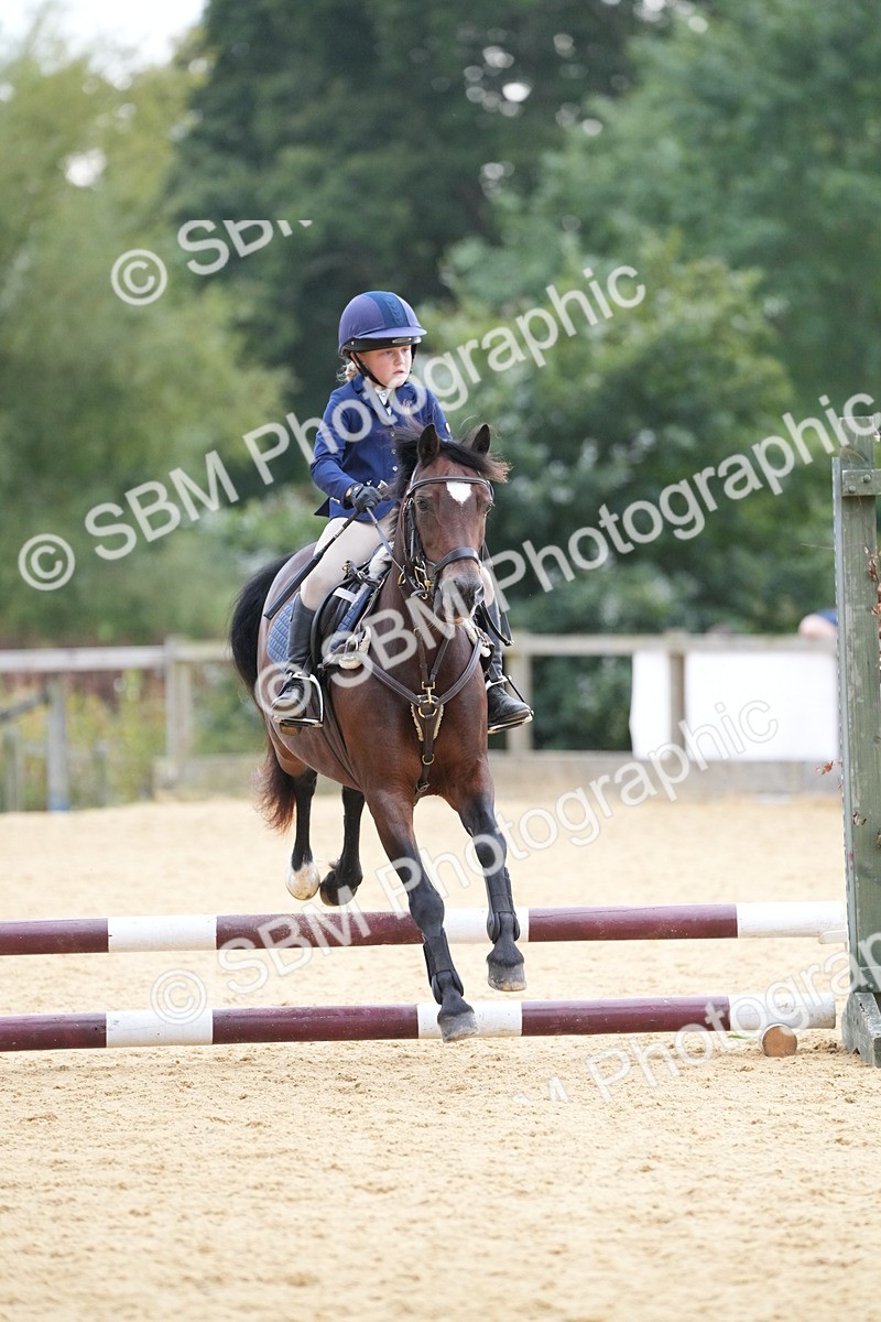 SBM_74635 - J4 - Mini Tour Junior Pony 45cm Championship