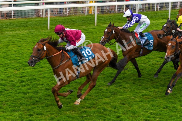170623-Race 6-Mostawaa-0891 - Race 6 4.50pm Ice Co Supporting Macmillan Handicap