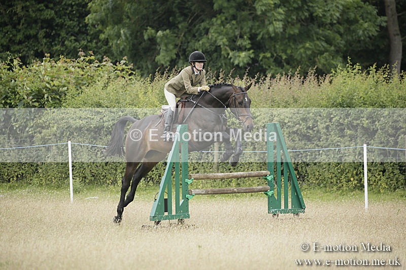 B230619-0867 - Bourne Valley Riding Club Summer Show 23/06/19