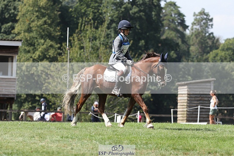 250823A-134103-31344 - Arena D