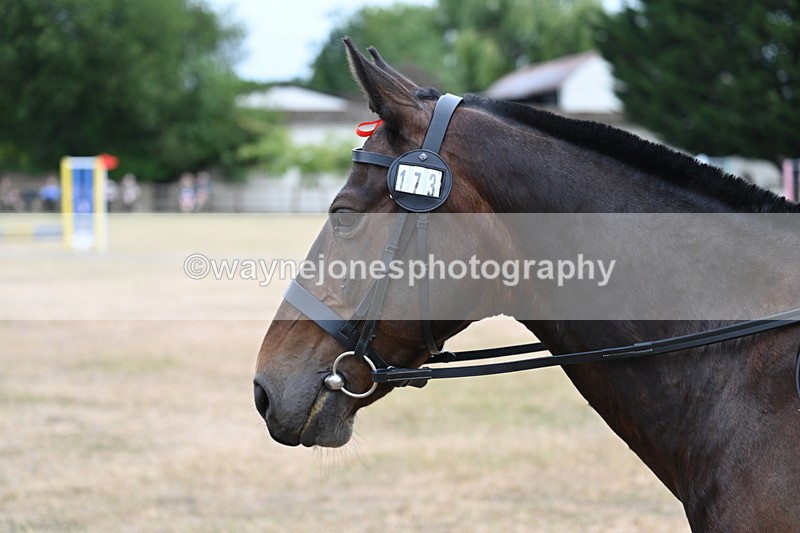 WJ7_1358 - Class 8 Ridden Veterans