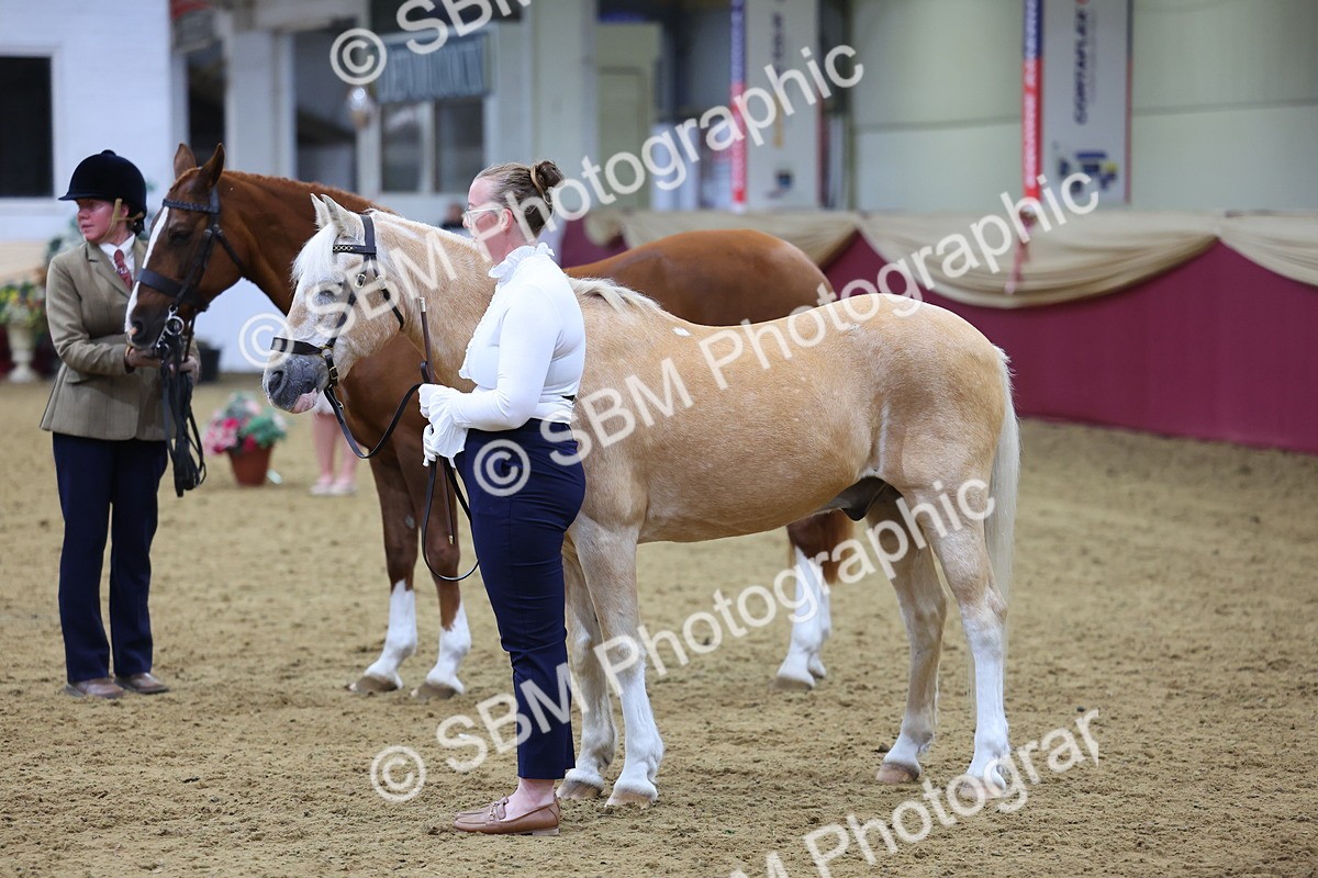 SBM_19464 - Class 901 - Supreme Final - IH Diamond