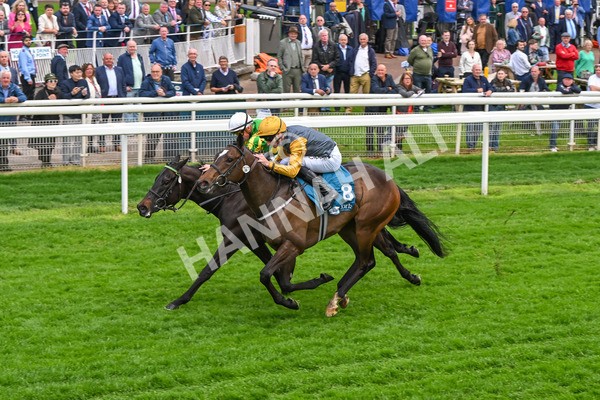 150524-Race 6-Shadow Army-4590 - Race 6 4.45pm British Stallion Studs EBF Novice Stakes