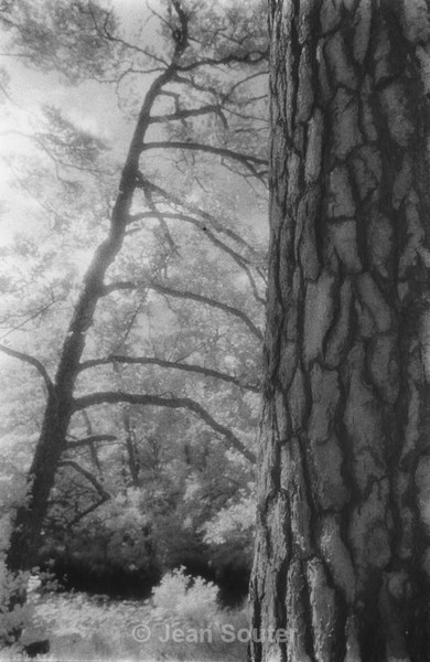 IR17 - Infra Red