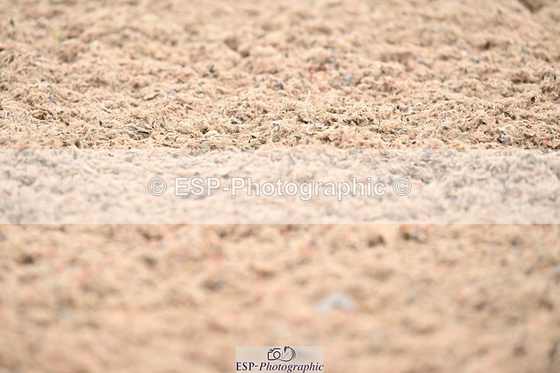 250705-175535-04269 - N2 Section BDNOV2 16.29 to 17.46