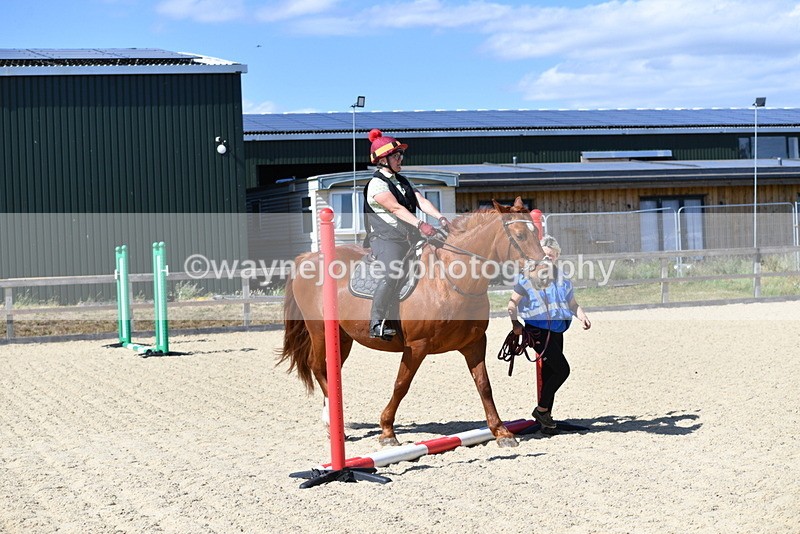 WJ5_4912 - Poles on the Floor